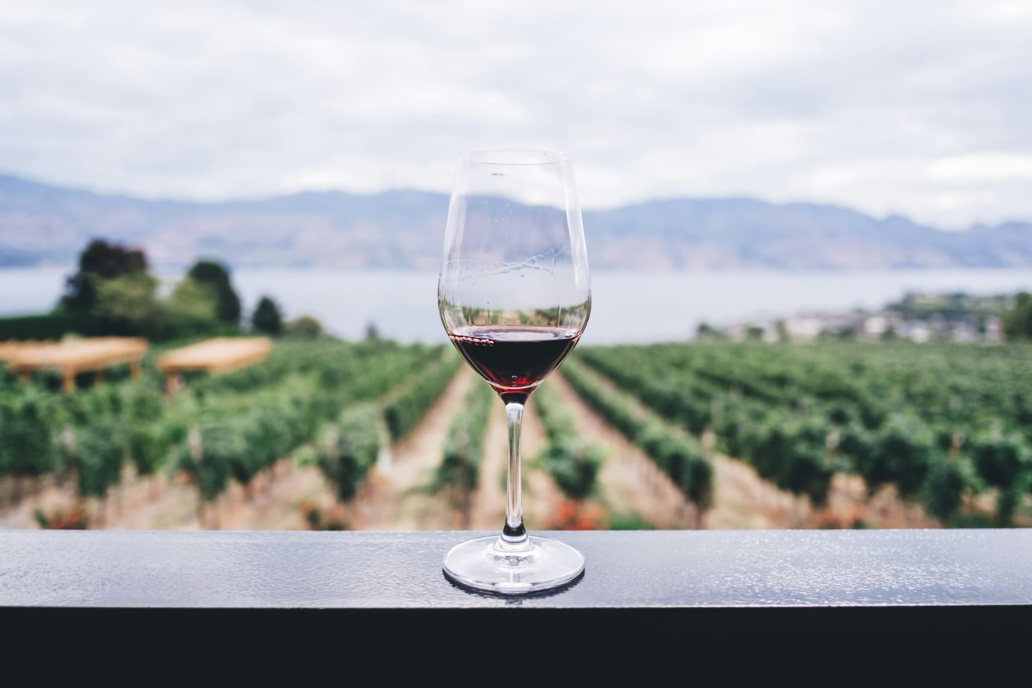 Winery